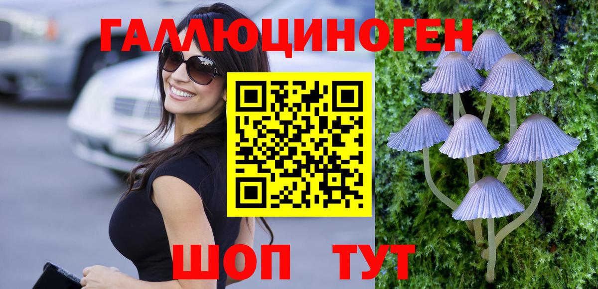 Псилоцибиновые грибы мицелий Иваново